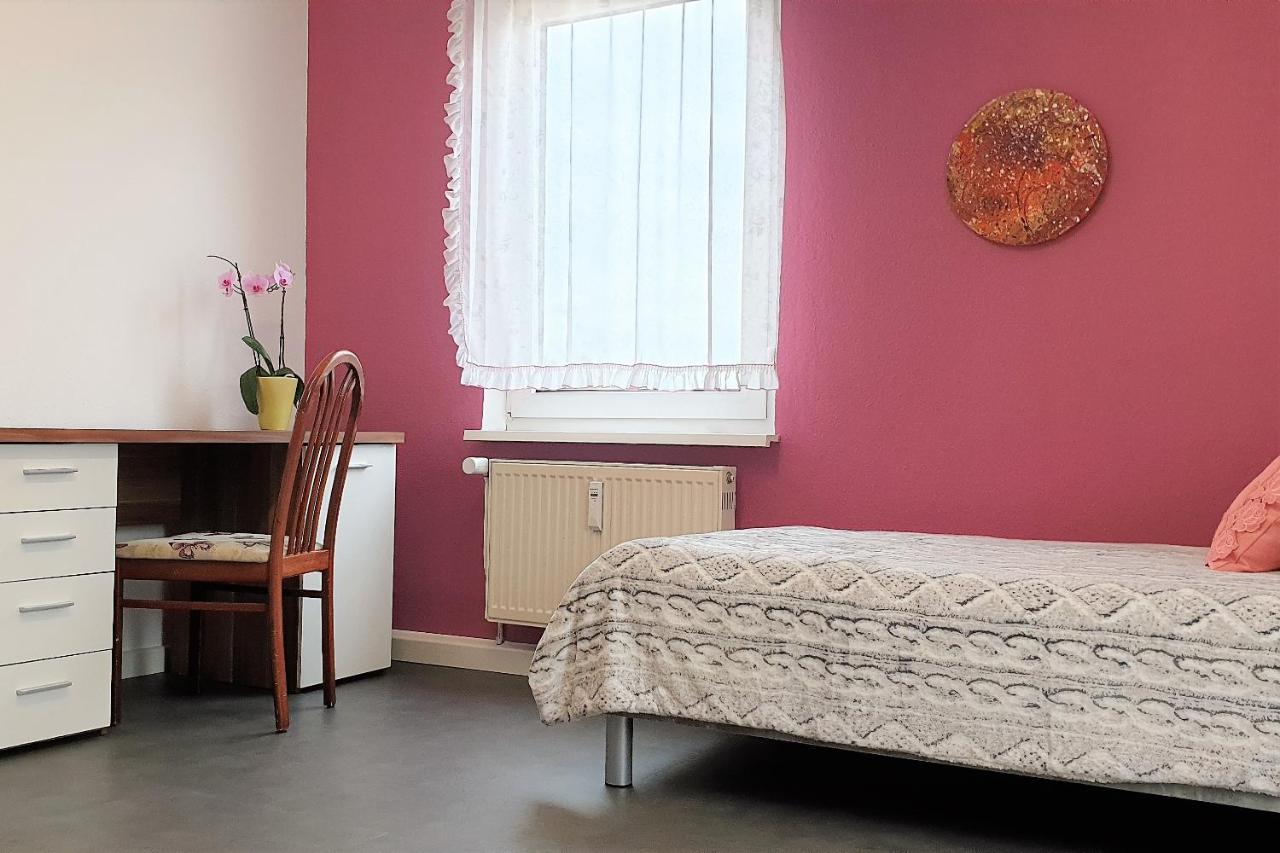 Apartment Bayreuth, Grosse Ferienwohnung Im Haus Mit Kunst, 3 Schlafzimmer, Kueche, Parkplatz Ngoại thất bức ảnh