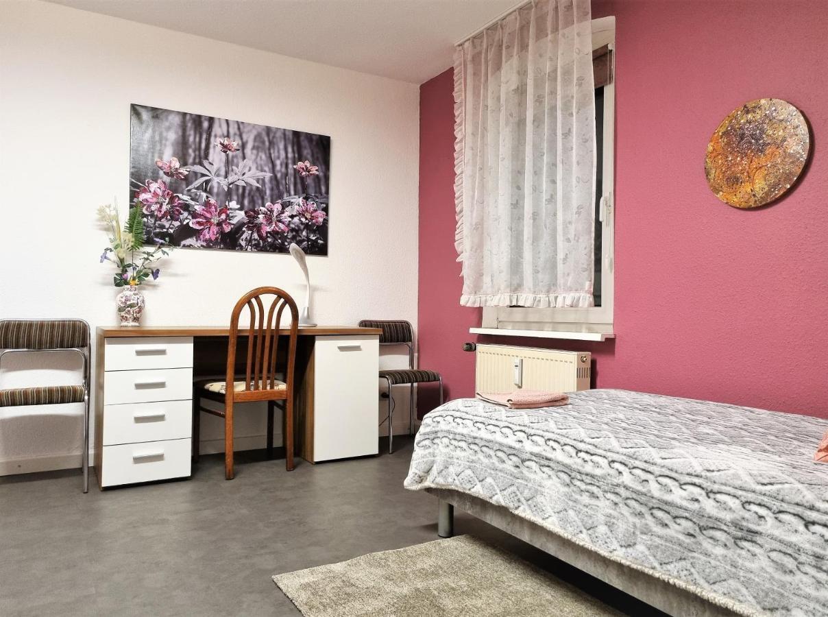 Apartment Bayreuth, Grosse Ferienwohnung Im Haus Mit Kunst, 3 Schlafzimmer, Kueche, Parkplatz Ngoại thất bức ảnh