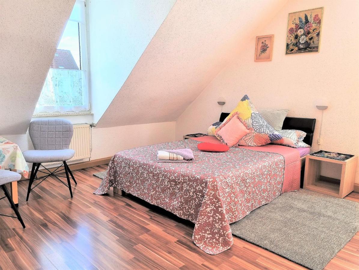 Apartment Bayreuth, Grosse Ferienwohnung Im Haus Mit Kunst, 3 Schlafzimmer, Kueche, Parkplatz Ngoại thất bức ảnh